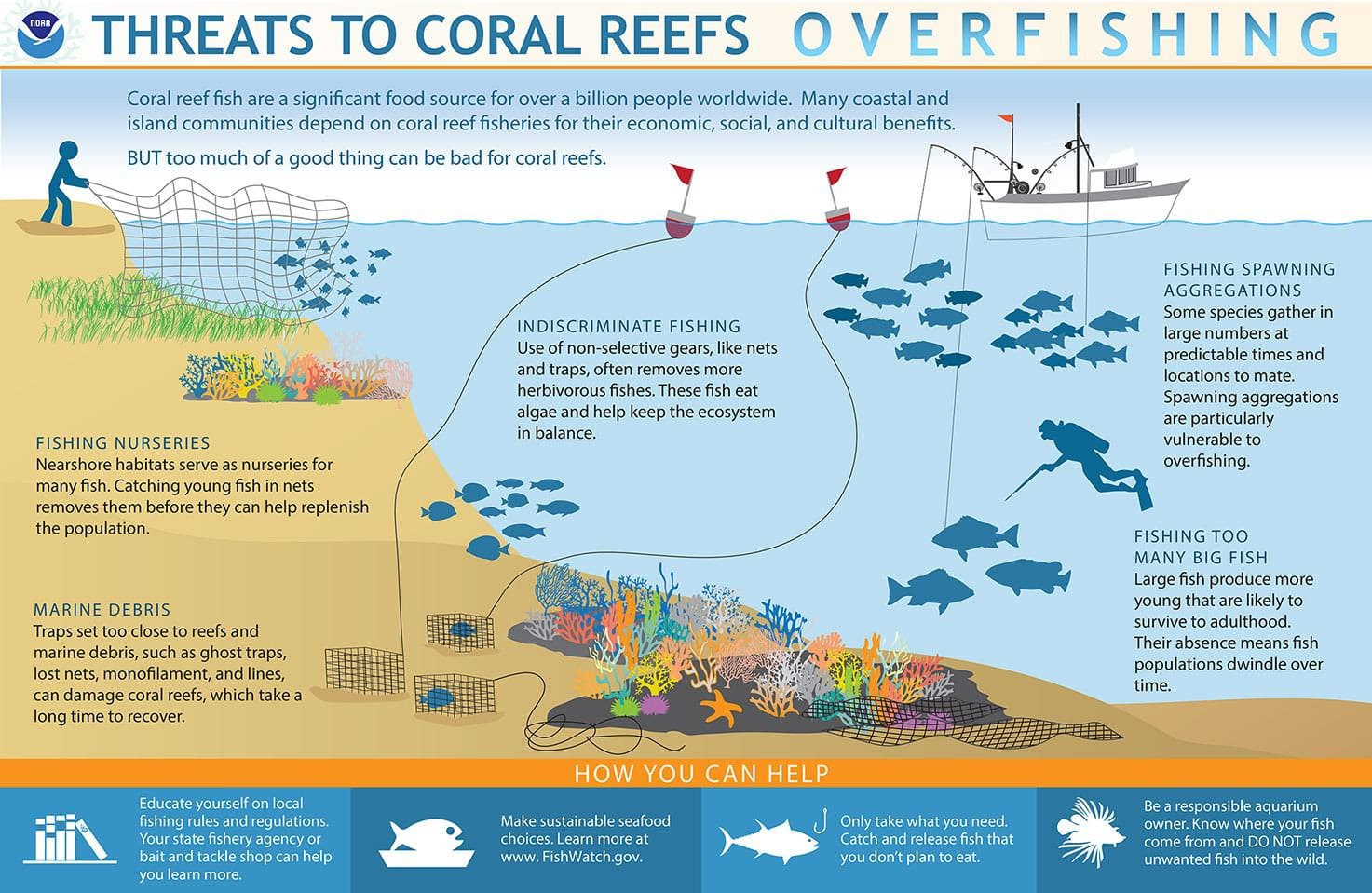 infographic about overfishing